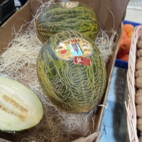 MELóN