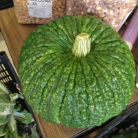 CALABAZA