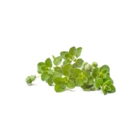 Oregano 100 gr