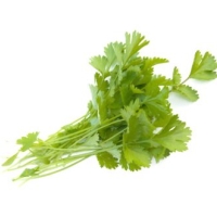 Cilantro (Bolsa 150 gr)