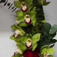 ORQUíDEA PREPARADA CON 3 ROSAS