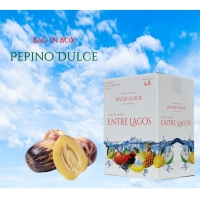 AGUA SABORIZADA EN CAJAS DE 20 LITROS - SABOR PEPINO DULCE