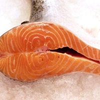 SALMON