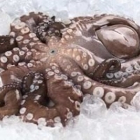 PULPO CRUDO CONGELADO POR KILO