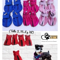 Zapatitos Impermeables para mascotas