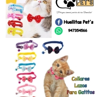 Collar Lazitos para Gatitos