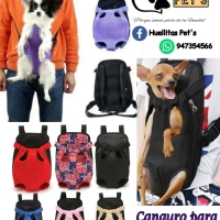 Canguro para mascotas