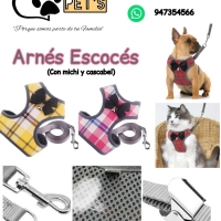 Arnés escocés para gatitos o perros