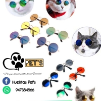 Lentes para Gatitos