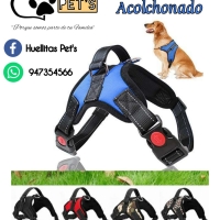 Arnés acolchonado para perros grandes