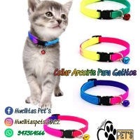 Collar Arcoiris para Gatitos