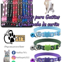 Collar Nylon con broche carito de gatito