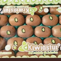 Kiwi asturias