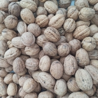 Nueces