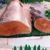 Salmon fresco ecológico 