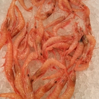 Gamba arrocera de Huelva x 250gr