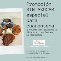 Pack sin azucar- Galletones, Brownies, Muffins y cocadas. Despacho incluido en Vitacura, Las Condes y Lo Barnechea