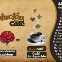 Ganocafe classic con ganodermaun cafe instantaneo enriquecido con el extracto de ganoderma lucidum, con el clasico sabor del cafe negro. ¡tu taza de cafe llena de placer!desordenes metabolicos: sobrepeso, personas con bajo peso, desordenes del apetito, irregularidad en el sueno, gastritis, ulceras