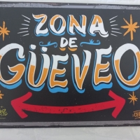 Zona de gueveo  25x 18 cm