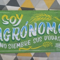 Soy Agronomo 35x 18 cm