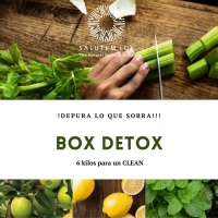 Box Detox 6kg ( Apio 1,3kg, 1 Manojo Remolacha, 1,5 kg manzana golden, 200g jengibre, 1 manojo hierba buena fresca, 1 manojo espinaca, 125g Arándanos, 1kg de pepino