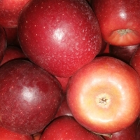 Manzana red delicius eco- precio por 1kilo