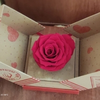 Rosa preservada en caja deluxe