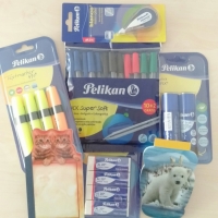 Pack vuelta al cole pelikan : 12 bolis (5 azules, 3 negros, 2 rojos y 2 verdes)  4 subrayadores   4 gomas de borrar  2 pegamentos de barra 20 gr/und   1 corrector de cinta blanca   2 libreta de notas cute animal regalo