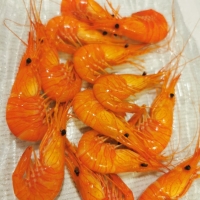 Camarón de la ría Pequeño (250g)