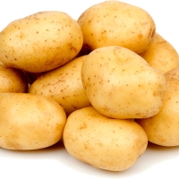 Patatas blanca ecológica - precio por 1 kilos