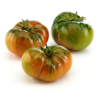TOMATE  RAFF - precio por 1/2 kilo