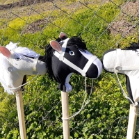 CABALLITO DE PALO CON HIERBAS