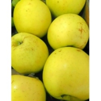 Manzana Golden x 1KG 