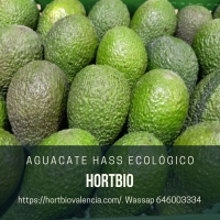 AGUACATE ECOLóGICO