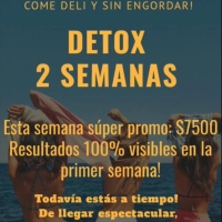 PLAN DETOX 2 SEMANAS