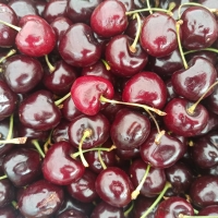 CEREZAS