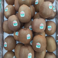 KIWI ZESPRI