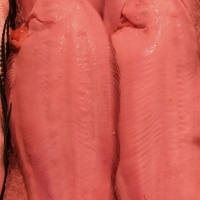 Lenguado Ración200/250