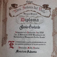 Diploma 25x35 cm en pergamino italiano 230grs