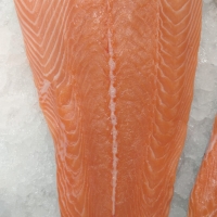 SALMóN ISLANDIA, LOMOS €/KG