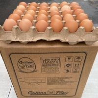 HUEVO GALLINA FELIZ, FREE RANGE, CERTIFICADOS 15 UNIDADES