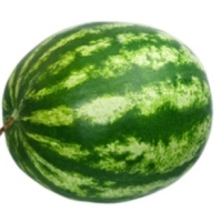 SANDIA KILO 