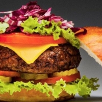 HAMBURGUESA DE COCHINILLO