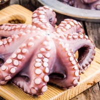 Pulpo entero 