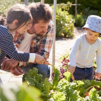 CURSO DE MONITOR DE HUERTO ECOLÓGICO