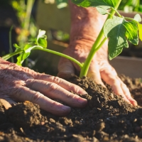 TARIFA PLANA DE CURSOS ONLINE DE AGRICULTURA