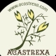 ACASTREXA