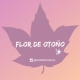 FLOR DE OTOñO