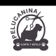 PELUCANINA