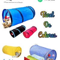 Túnel de Colores para gatitos